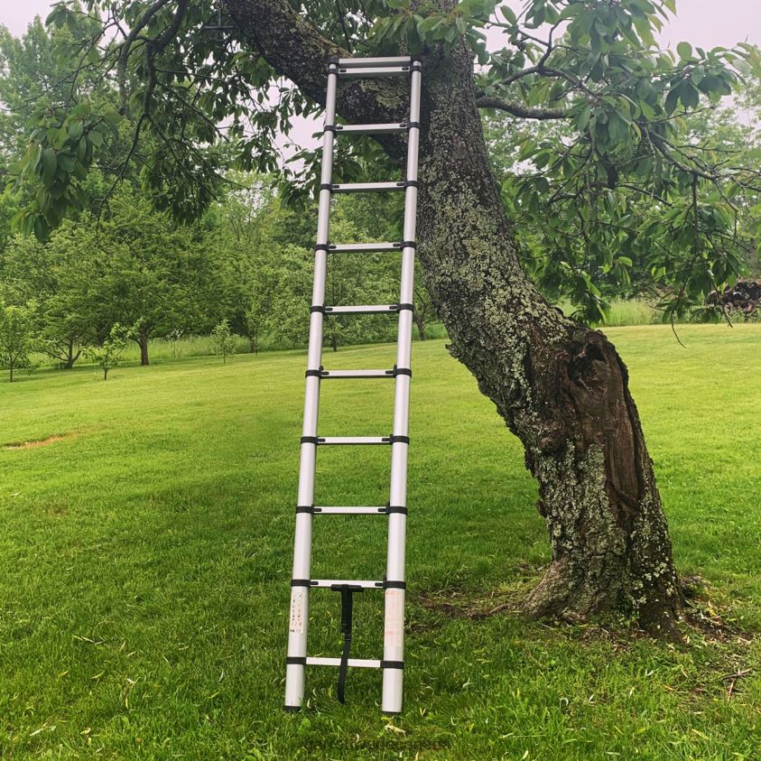 Garrett Wade Telescoping Extension Ladders 8628N2488 Workshop