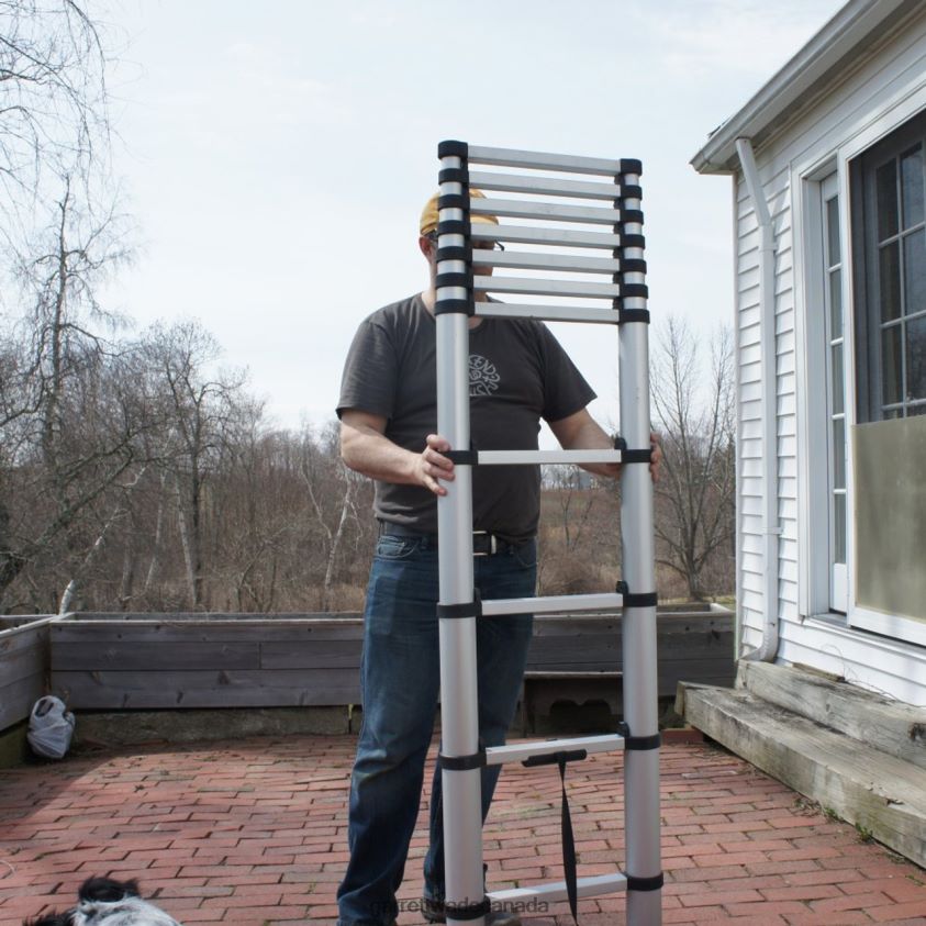 Garrett Wade Telescoping Extension Ladders 8628N2488 Workshop