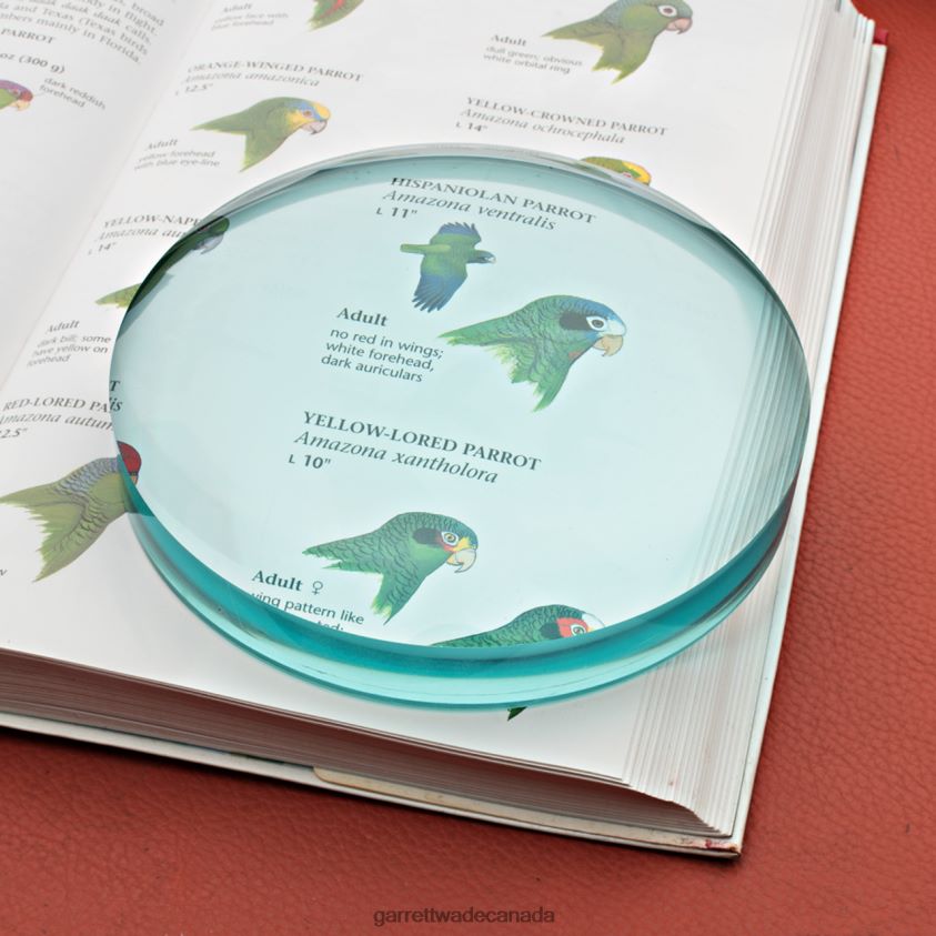 Garrett Wade Large Desktop Magnifier 8628N2539 Workshop