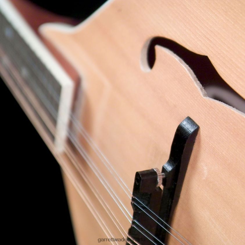 Garrett Wade Build Your Own Mandolin Kit 8628N2610 Workshop