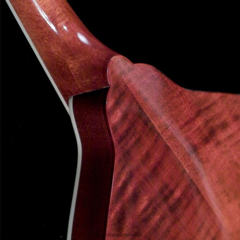 Garrett Wade Build Your Own Mandolin Kit 8628N2610 Workshop